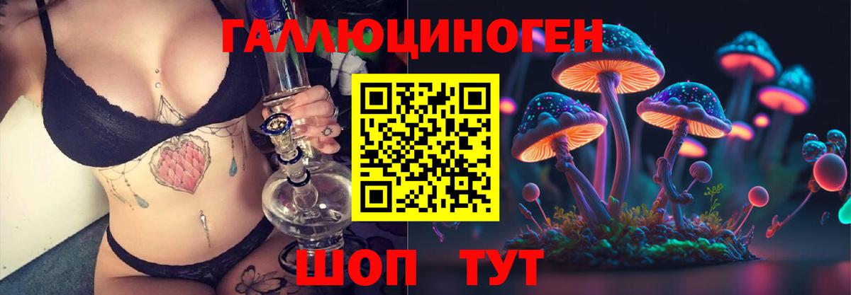 где купить наркотик  Вход с VPN  Зеленогорск  Галлюциногенные грибы GOLDEN TEACHER 