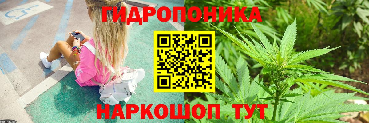 МАРИХУАНА VHQ  МАРИХУАНА White Widow  Вход с VPN  Канабис семена  Зеленогорск 